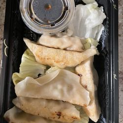 Taichi Bubble Tea - Gyoza Pork