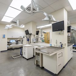 Veterinary Dentistry Specialists - Chadds Ford