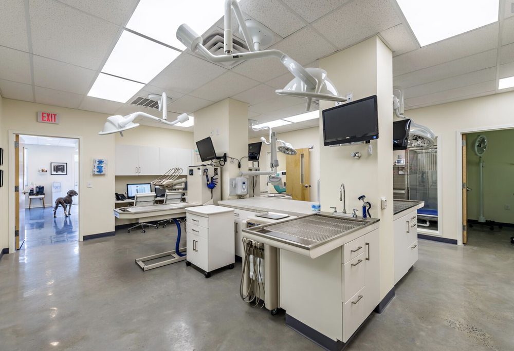 VETERINARY DENTISTRY SPECIALISTS CHADDS FORD 12 Photos & 10 Reviews