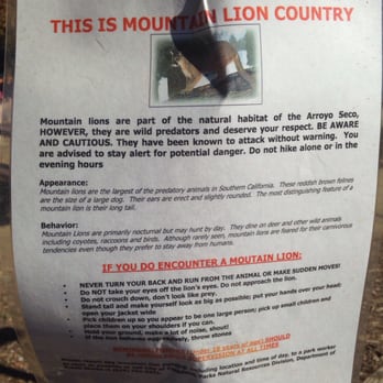 Lower Arroyo Seco Recreation Area - Mountain Lions !!! - Parks Near Me - Pasadena, California Lower Arroyo Seco Recreation Area - Mountain Lions !!! - Parks Near Me - Pasadena, California