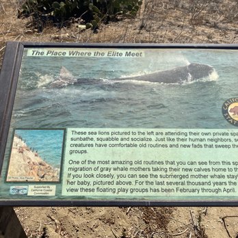 Point Dume State Beach - Beaches Near Me - Malibu, California Point Dume State Beach - Beaches Near Me - Malibu, California