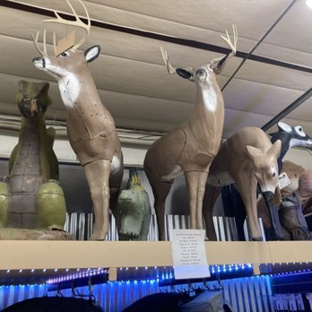 Bear Creek Archery - Archery Near Me - Englewood, Colorado Bear Creek Archery - Archery Near Me - Englewood, Colorado