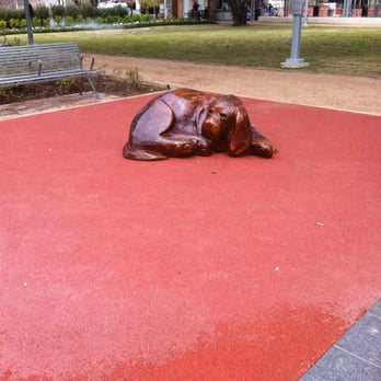 Market Square Park - Big brown dog - Dog Parks Near Me - Houston, Texas Market Square Park - Big brown dog - Dog Parks Near Me - Houston, Texas