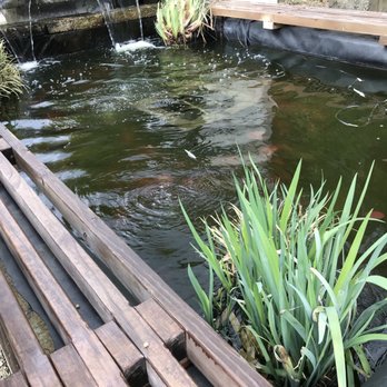 Namu - Outdoor fountain & koi pond - Korean Near Me - Durham, North Carolina