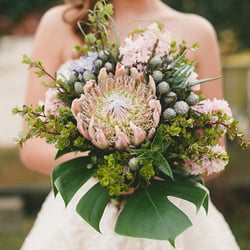 Succulents & Saffron