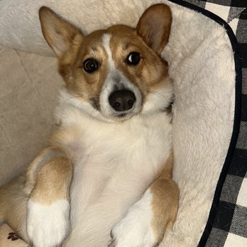 Nova Animal Hospital - Veterinarians Near Me - Davie, Florida