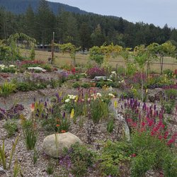 The Little Farm on Olga Road