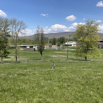 Clark Art Institute - View of museum buildings and reflecting pool from Cow pasture - Museums Near Me - Williamstown, Massachusetts