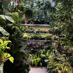 My Bonita Gardens
