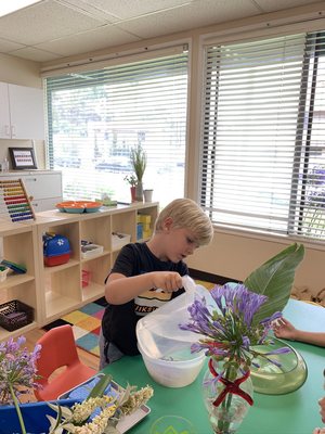 Little Thinkers Montessori Academy by null