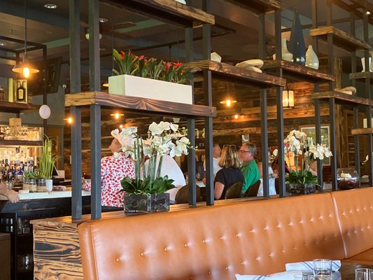 Taverna by null