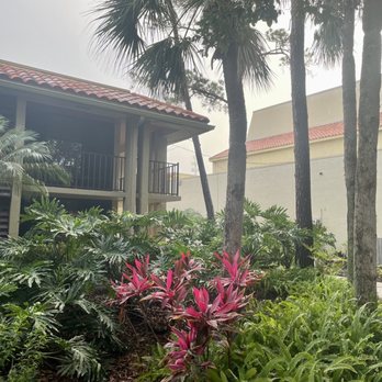 DoubleTree by Hilton - Hotels Near Me - Orlando, Florida
