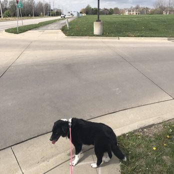Johnson County Library-Blue Valley - Oreo both ways before crossing street - Libraries Near Me - Overland Park, Kansas Johnson County Library-Blue Valley - Oreo both ways before crossing street - Libraries Near Me - Overland Park, Kansas