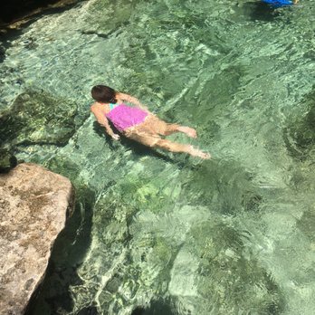 Kelly Park - Prestige swim perfect for those scared of Florida waters - Hiking Near Me - Apopka, Florida Kelly Park - Prestige swim perfect for those scared of Florida waters - Hiking Near Me - Apopka, Florida