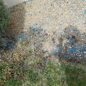 Rockstar Landscape - Landscaping Near Me - Las Vegas, Nevada Rockstar Landscape - Landscaping Near Me - Las Vegas, Nevada