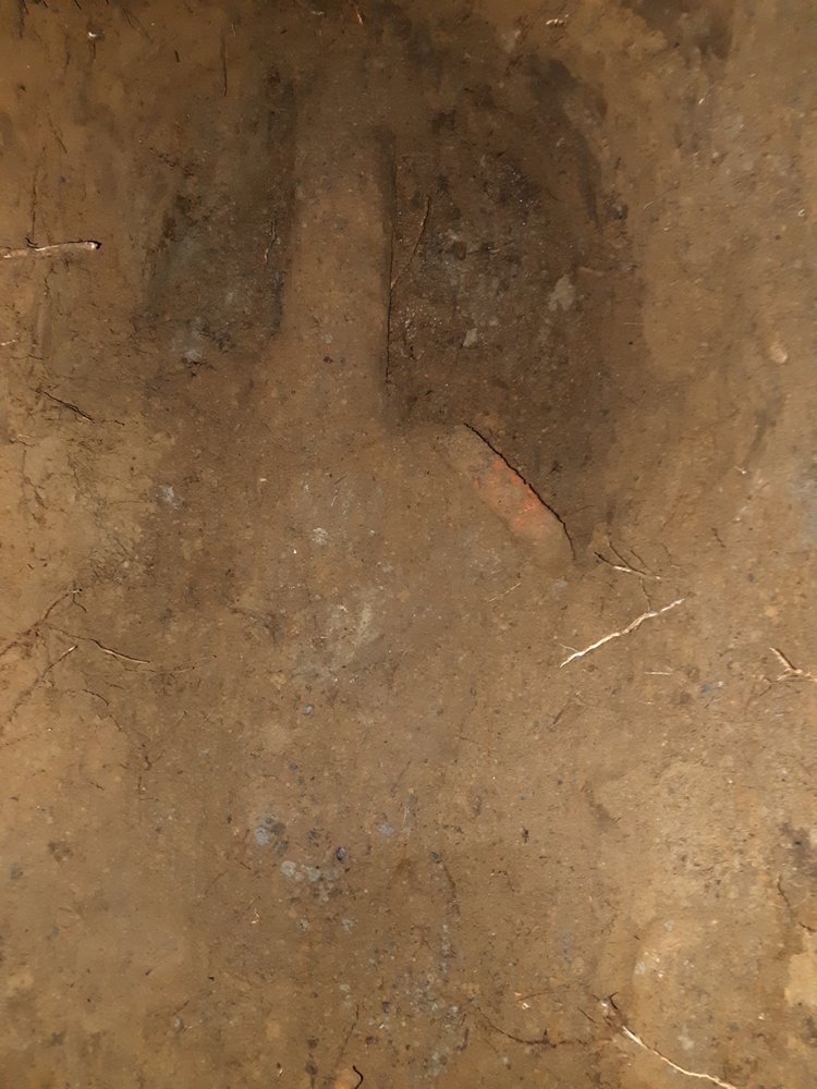 Slide of Roto-Rooter Plumbing & Water Cleanup