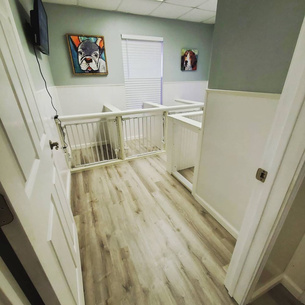 SWEET MAGNOLIA’S PET RESORT & SPA Updated September 2024 23 Photos