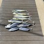 Makai Sportfishing