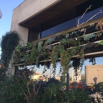 Enchanted Florist - Two story building exterior - Florists Near Me - Los Alamitos, California Enchanted Florist - Two story building exterior - Florists Near Me - Los Alamitos, California