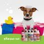 Photo of Splash and Dash Groomerie & Boutique