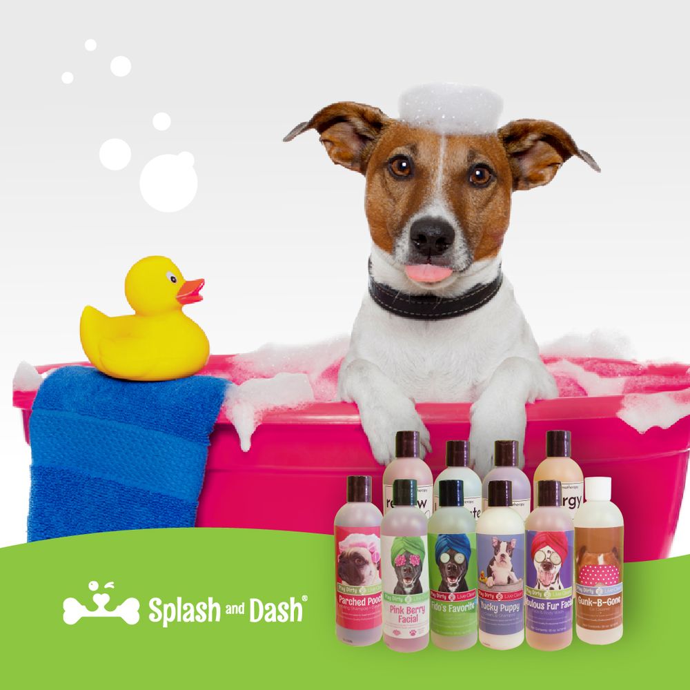 SPLASH AND DASH GROOMERIE & BOUTIQUE Updated August 2024 18 Photos