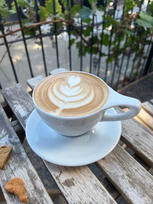 Steam Espresso Bar by null