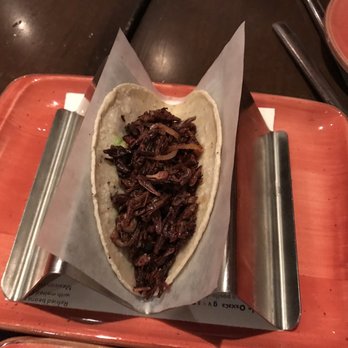 Oyamel - Grasshopper taco - Mexican Near Me - Washington, DC, District of Columbia Oyamel - Grasshopper taco - Mexican Near Me - Washington, DC, District of Columbia