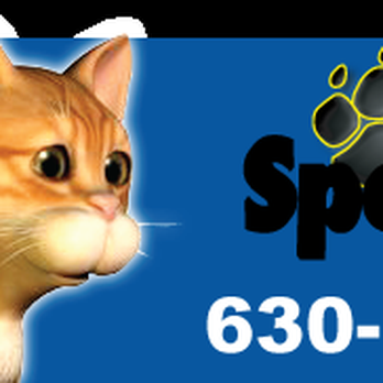 Spotted Paw Shop - Pet Groomers Near Me - Wheaton, Illinois Spotted Paw Shop - Pet Groomers Near Me - Wheaton, Illinois