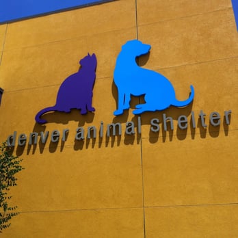 Denver Animal Protection - Pretty new branding - Veterinarians Near Me - Denver, Colorado Denver Animal Protection - Pretty new branding - Veterinarians Near Me - Denver, Colorado
