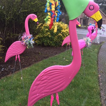 Think Pink Flamingo Flocking - Party & Event Planning Near Me - Portland, Oregon