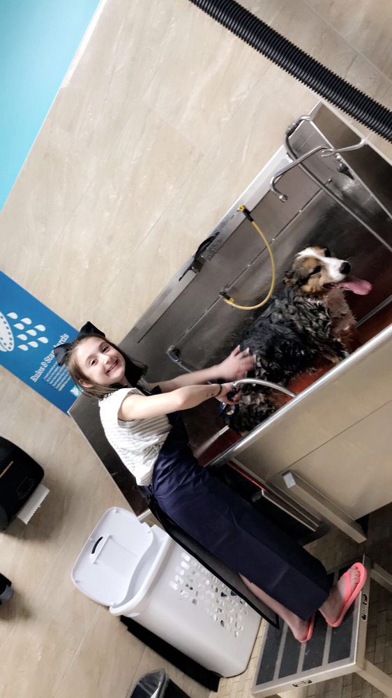 CHOW HOUND PET SUPPLIES 32 Photos Pet Stores 5097 Century Ave