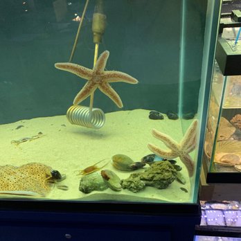Glen Echo Park Aquarium - Aquariums Near Me - Glen Echo, Maryland Glen Echo Park Aquarium - Aquariums Near Me - Glen Echo, Maryland