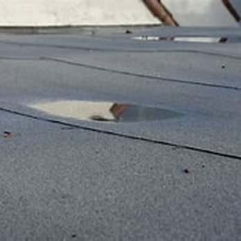 RIG Roofing - puddles of water 72 hours and counting - Roofing Near Me - Winter Haven, Florida RIG Roofing - puddles of water 72 hours and counting - Roofing Near Me - Winter Haven, Florida