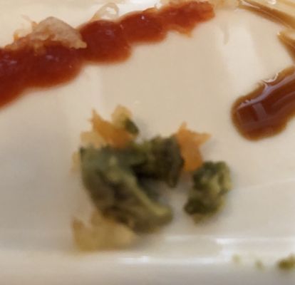 Mt Fuji Restaurant by null