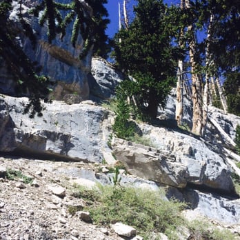 Mummy's Toe - Gloves are helpful going over rocks too - Hiking Near Me - Mount Charleston, Nevada