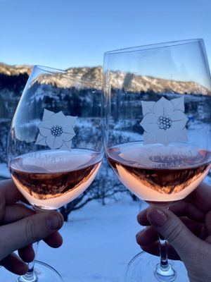 Silvara Cellars by null