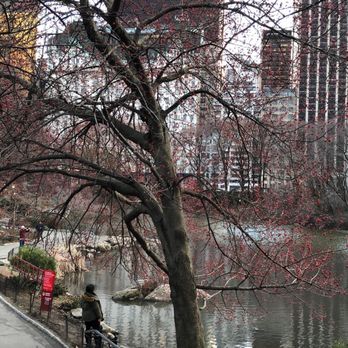Central Park Conservancy - Parks Near Me - New York, New York