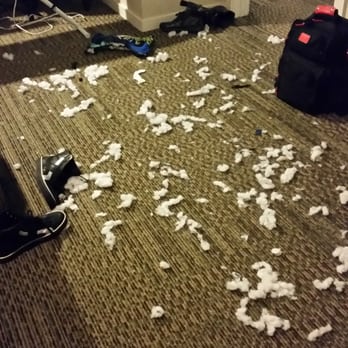 Sonesta ES Suites Chatsworth - Wow how could a hotel house keeper see this a not vacuum it up...it'd have taken 5 minutes. - Hotels Near Me - Chatsworth, California Sonesta ES Suites Chatsworth - Wow how could a hotel house keeper see this a not vacuum it up...it'd have taken 5 minutes. - Hotels Near Me - Chatsworth, California