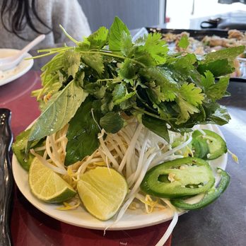 Nam Phuong - Pho toppings - cilantro, bean sprouts, jalapeño, lime - Vietnamese Near Me - Atlanta, Georgia Nam Phuong - Pho toppings - cilantro, bean sprouts, jalapeño, lime - Vietnamese Near Me - Atlanta, Georgia