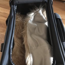 Liner is folded up when it should be unfolded before laying my cat inside so that he's kept warm.