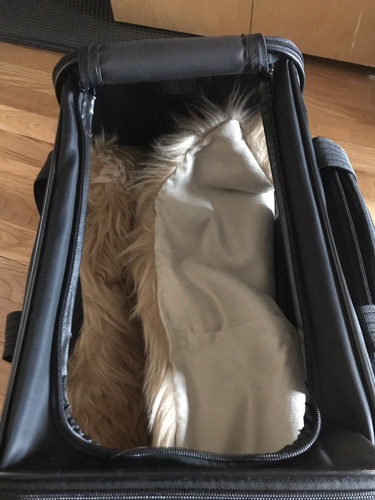 METROPOLITAN VETERINARY CENTER 65 Photos & 253 Reviews