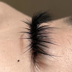 Beauty Eyelashes