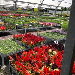 Watsons Garden Centre