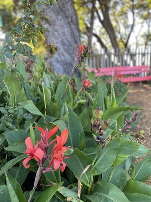 Potrero Hill Community Garden by null
