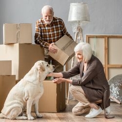 Caring Transitions