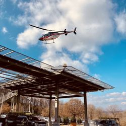 Animal Pros - Nashville Bird Netting - Animal Pros