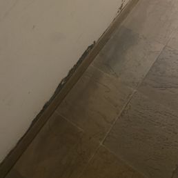 More black mold More black mold