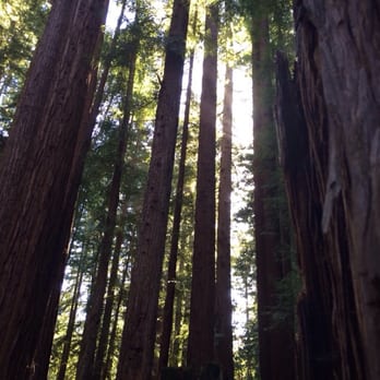 Camp Navarro - Venues & Event Spaces Near Me - Navarro, California