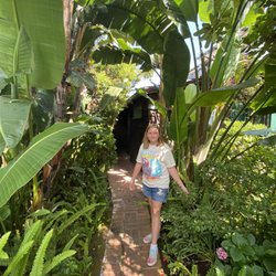 Redwood Hollow Cottages - The garden walkway