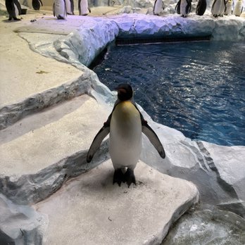 Detroit Zoo - Zoos Near Me - Royal Oak, Michigan